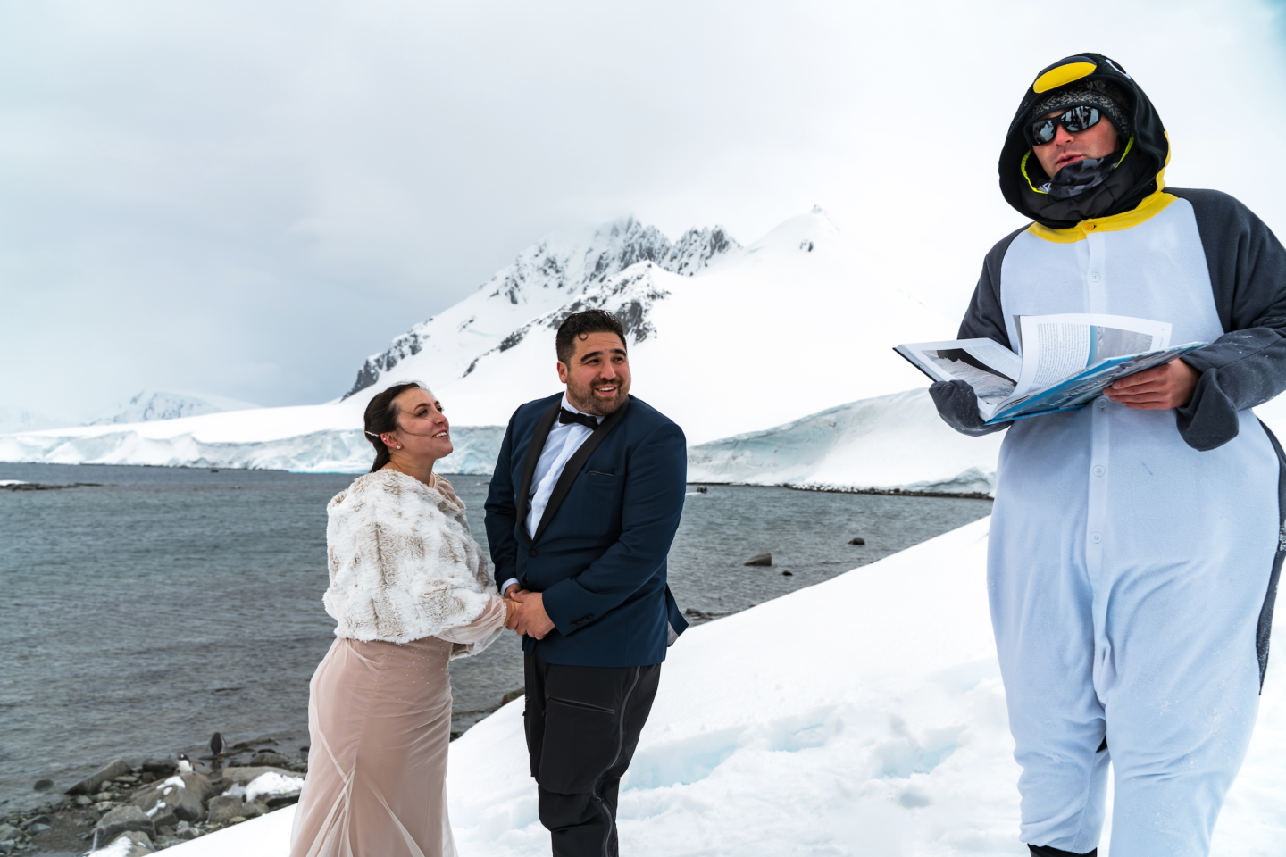 Antarctica penguin wedding officiant