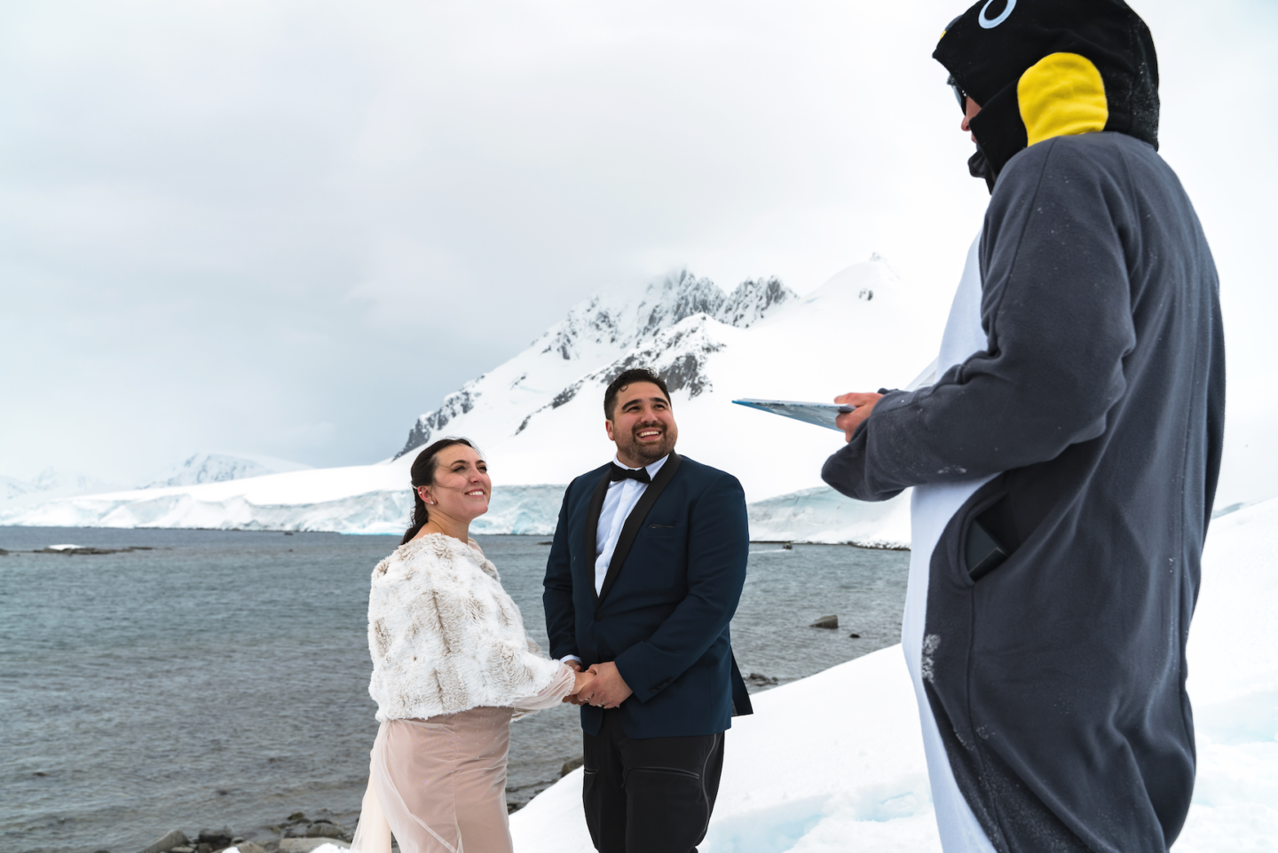 Antarctica penguin wedding officiant